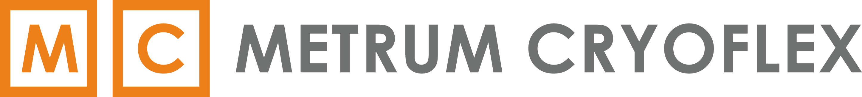 Logo Metrum
